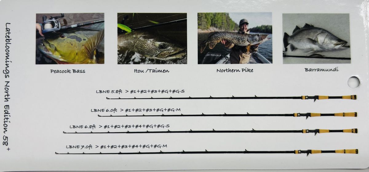 楽天市場】トランスセンデンス レイトブルーミングス58+NorthEdition