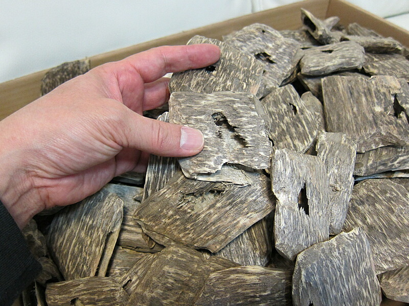 楽天市場】楽天スーパーSALE 沈香 ベトナム産高級栽培沈香【訳あり中高