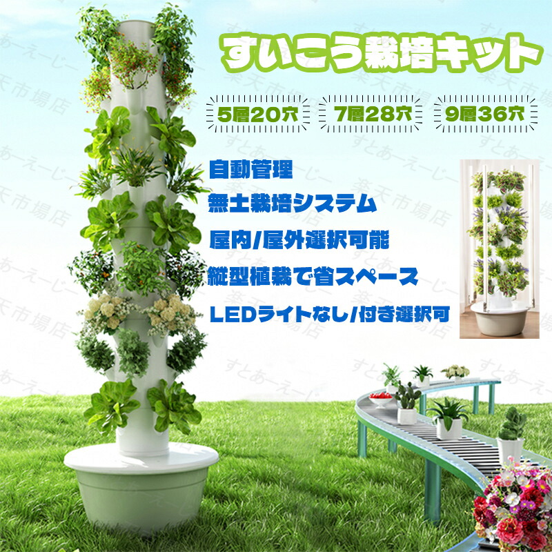 楽天市場】＼スーパーセール 10％OFF／すいこう栽培キット 水耕栽培