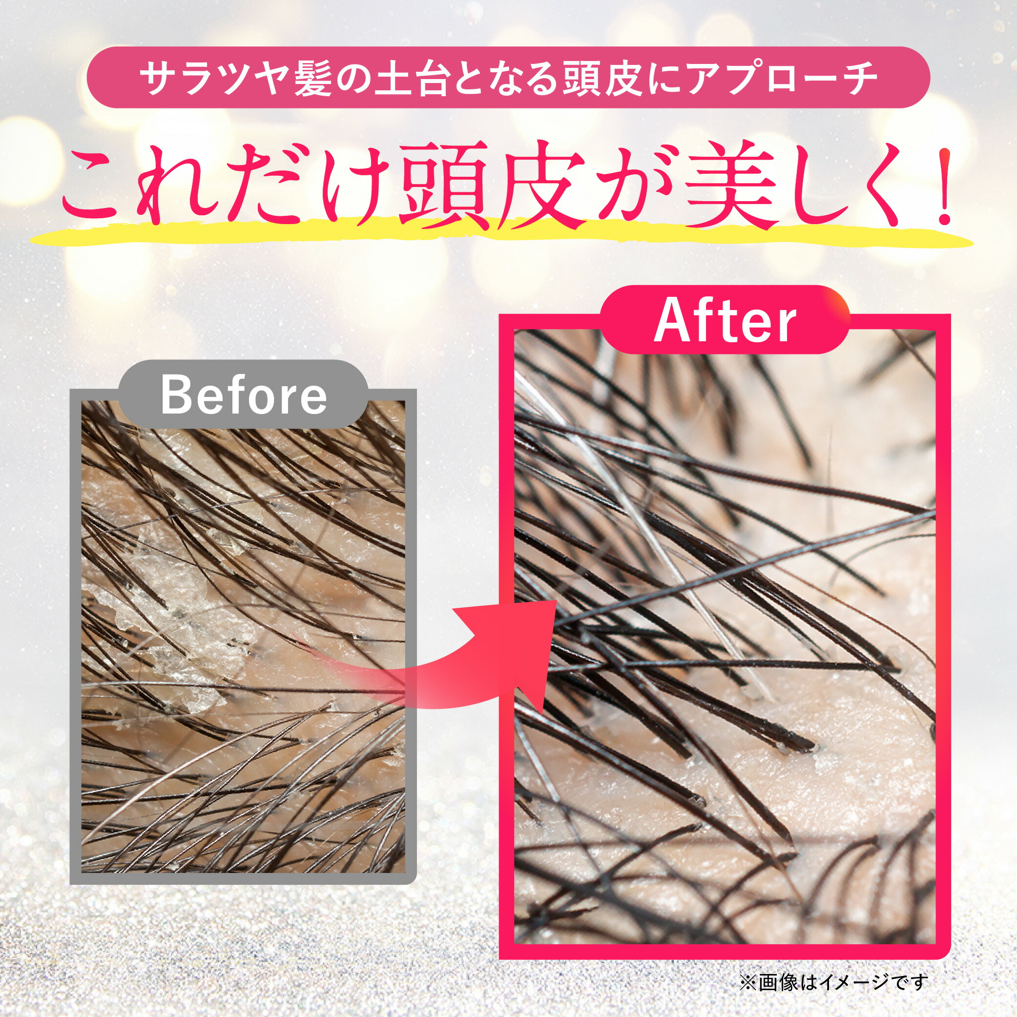 楽天市場】☆3/5（木）0:00〜 最大25%OFF＆3本以上購入でプレゼント