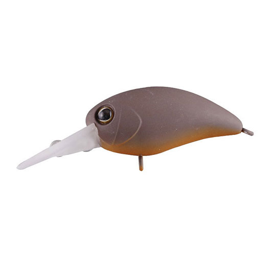 楽天市場】パニクラの通販