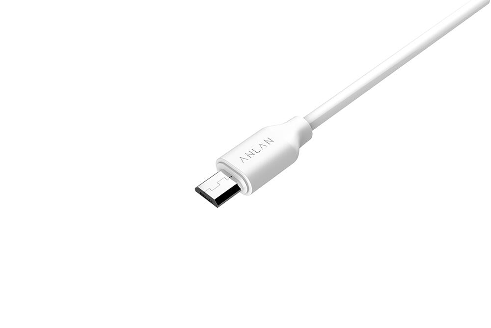 楽天市場】ANLAN 充電コード 充電ケーブル MicroUSB 美顔器用 1個