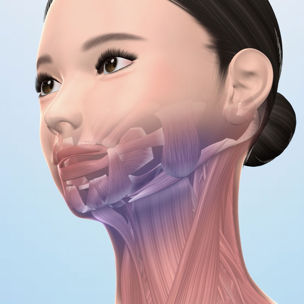 楽天市場】＼LINE友だち登録で200円オフクーポン／ スタイリーフェイス