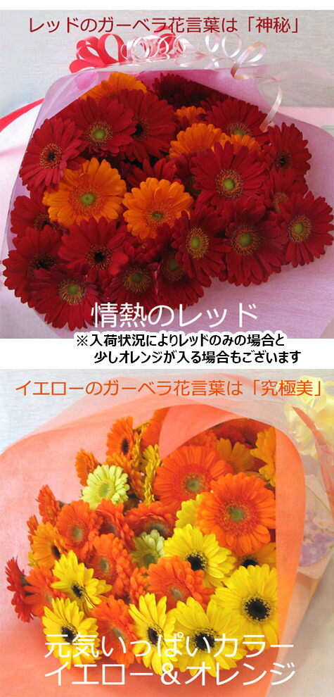 楽天市場】【 生花 】【 産地直送 】カラーと本数が選べる ガーベラ