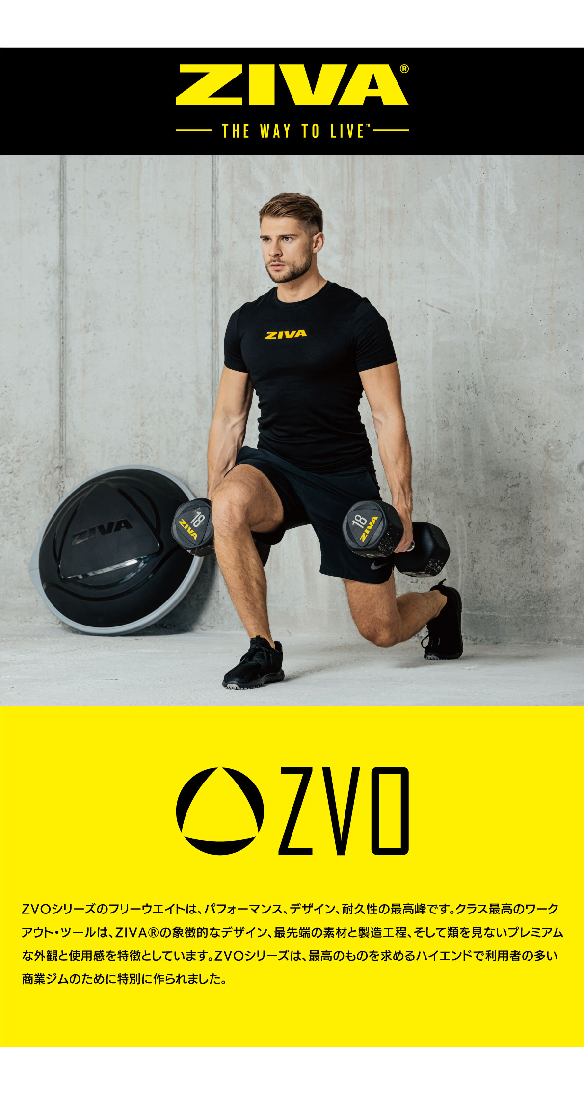 楽天市場】【業務用】ダンベル DUMBBELL 20個 10ペアセット 12kg 14kg