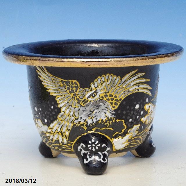 楽天市場】愛楽園 富貴蘭錦鉢 白鷹文様 3.5号 (No.3654)【京楽鉢/楽鉢