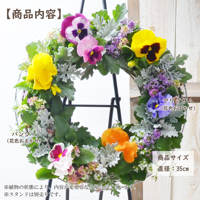 楽天市場】寄せ植え お花の ハンギングリース パンジー＆アリッサムの