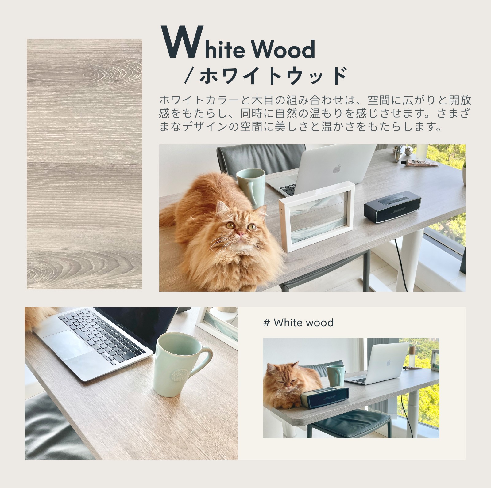 楽天市場】天板 デスク オフィスデスク メラミン FlexiSpot 昇降デスク