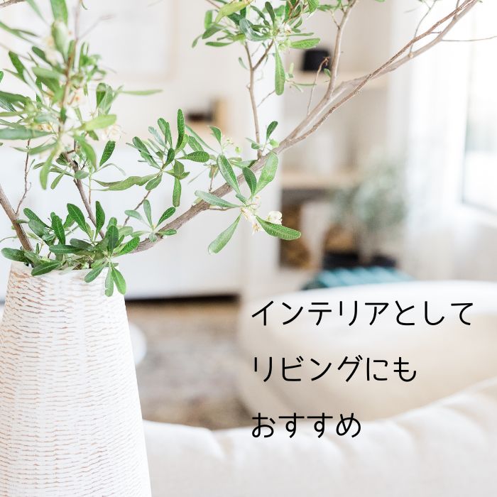 楽天市場】高品質 フローライト お昼寝 にゃんこ 猫 1個 貫通穴 パーツ