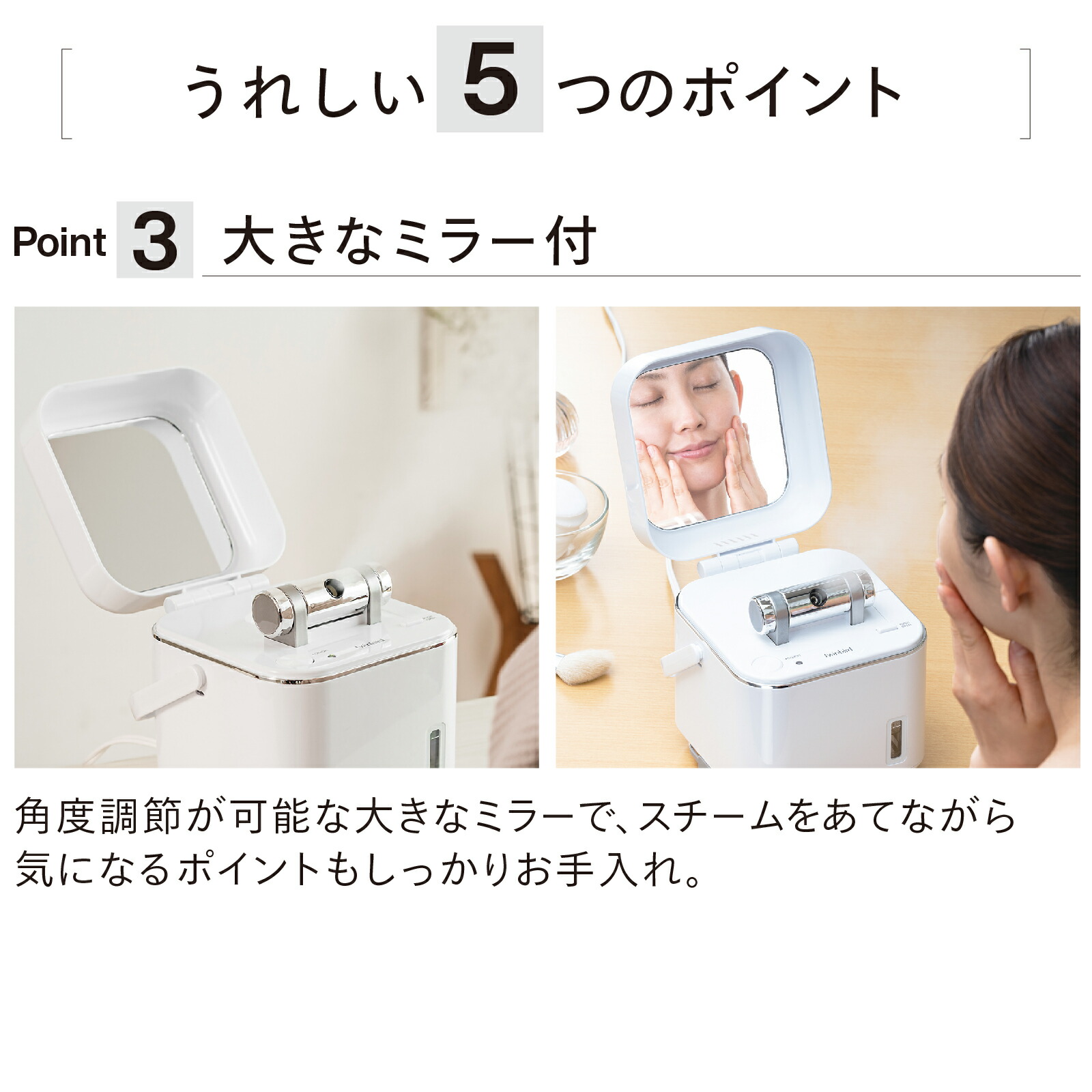 楽天市場】【スーパーSALE期間限定価格！】【公式】フェイススチーマー