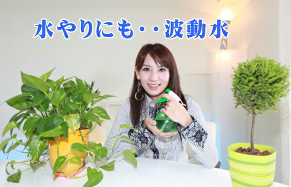 楽天市場】テラヘルツ波動水 （テラヘルツ 健康飲料 健康グッズ 健康