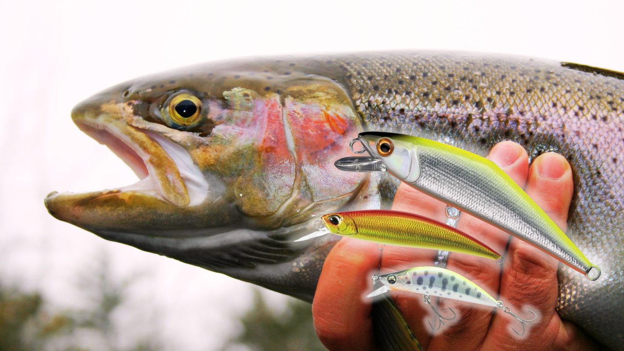 ネイティブトラウト爆釣ルアー17選｜釣果アップの必須アイテム｜釣り