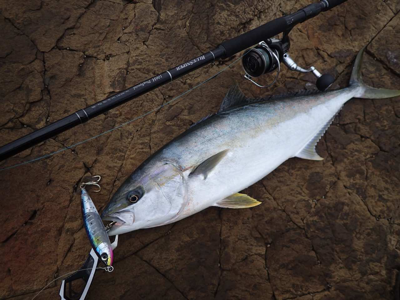 シマノ 別注平政190F フラッシュブースト】徹底インプレ！青物トップ