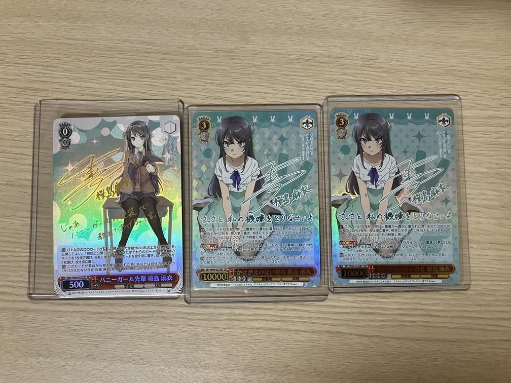 樂淘代購心得(6)（ws ヴァイスシュヴァルツかけがえのない存在桜島麻衣