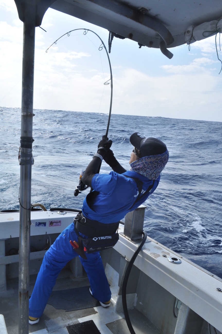 WhiteInsight 8010 | TRUTH JAPAN