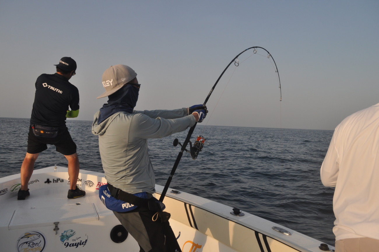 WhiteInsight 8010 | TRUTH JAPAN