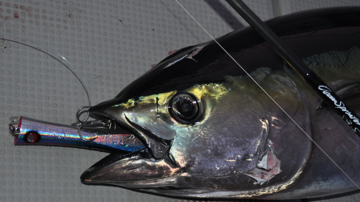 三重県熊野沖 キハダマグロキャスティング テスト釣行 正丸 | TRUTH JAPAN