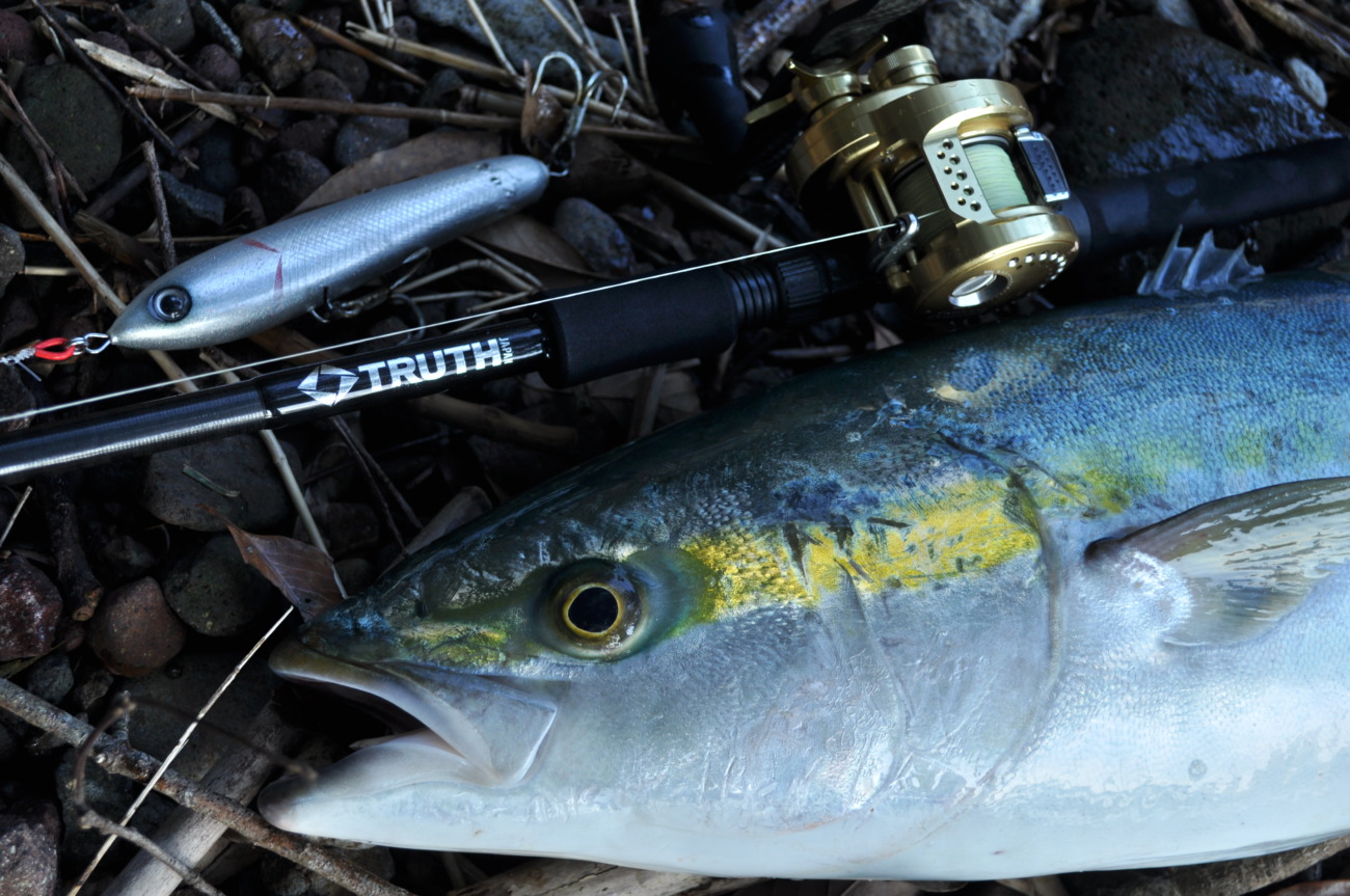 ヒラスズキモデル BlackAddiction 105 ベイトモデル（OVERHEAD model