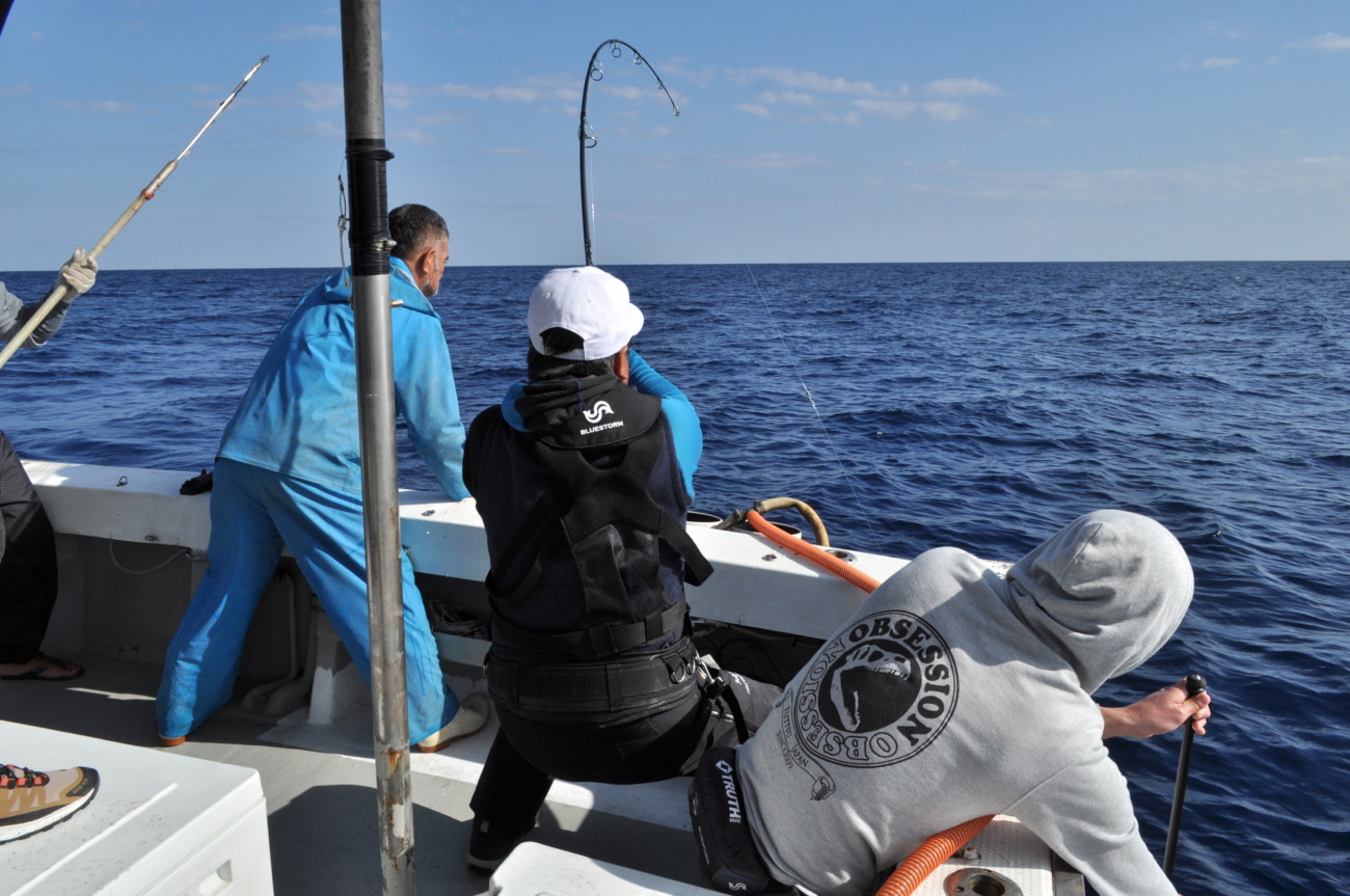 WhiteInsight 7610 | TRUTH JAPAN