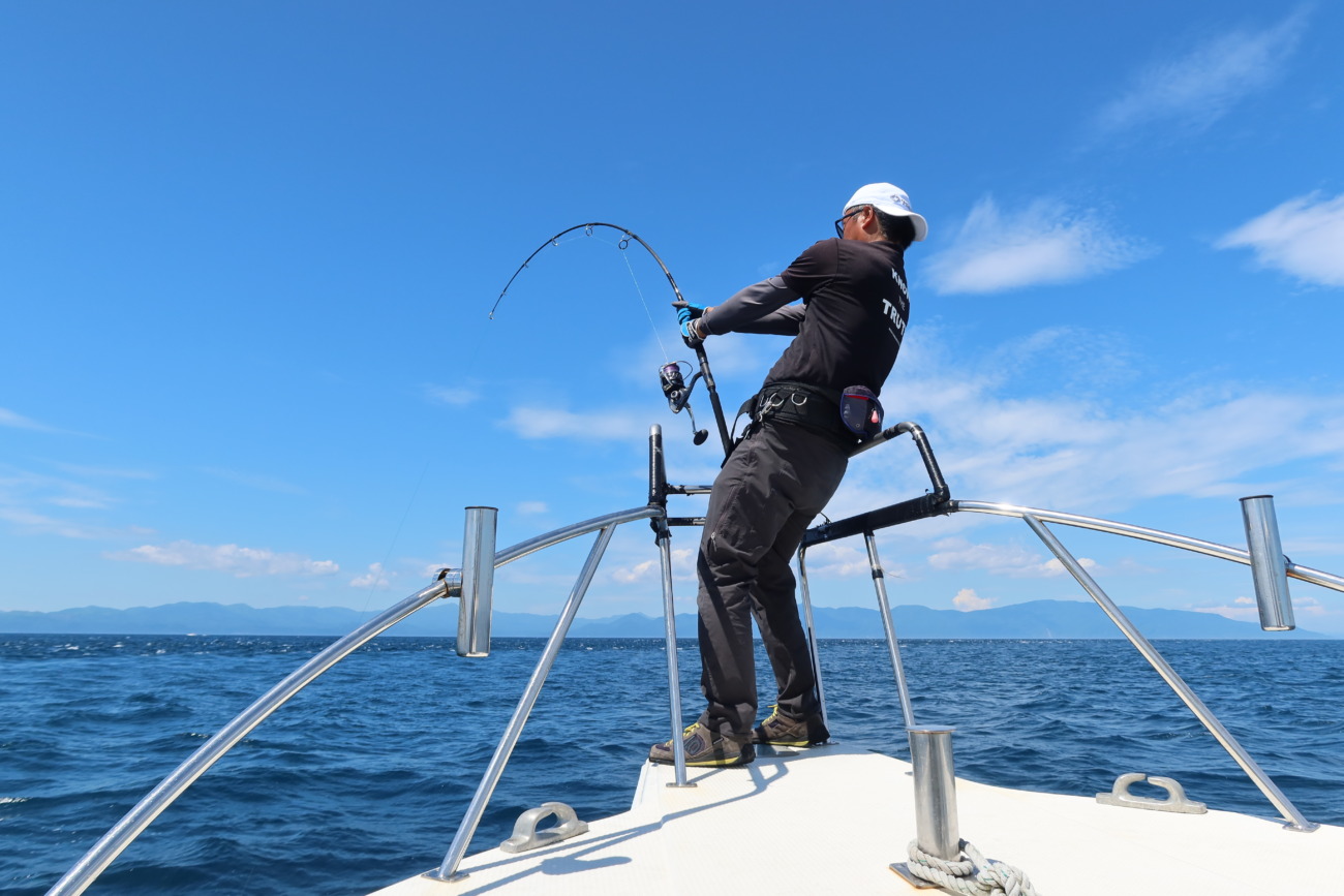 WhiteInsight 7610 | TRUTH JAPAN