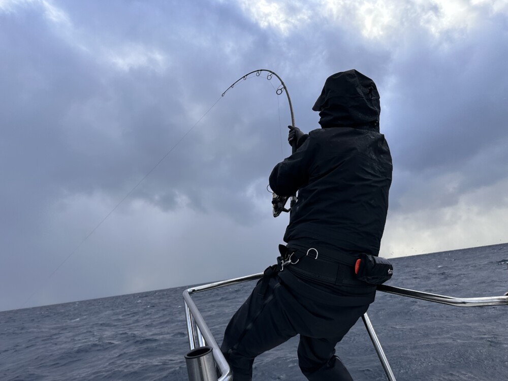 WhiteInsight 7415 | TRUTH JAPAN