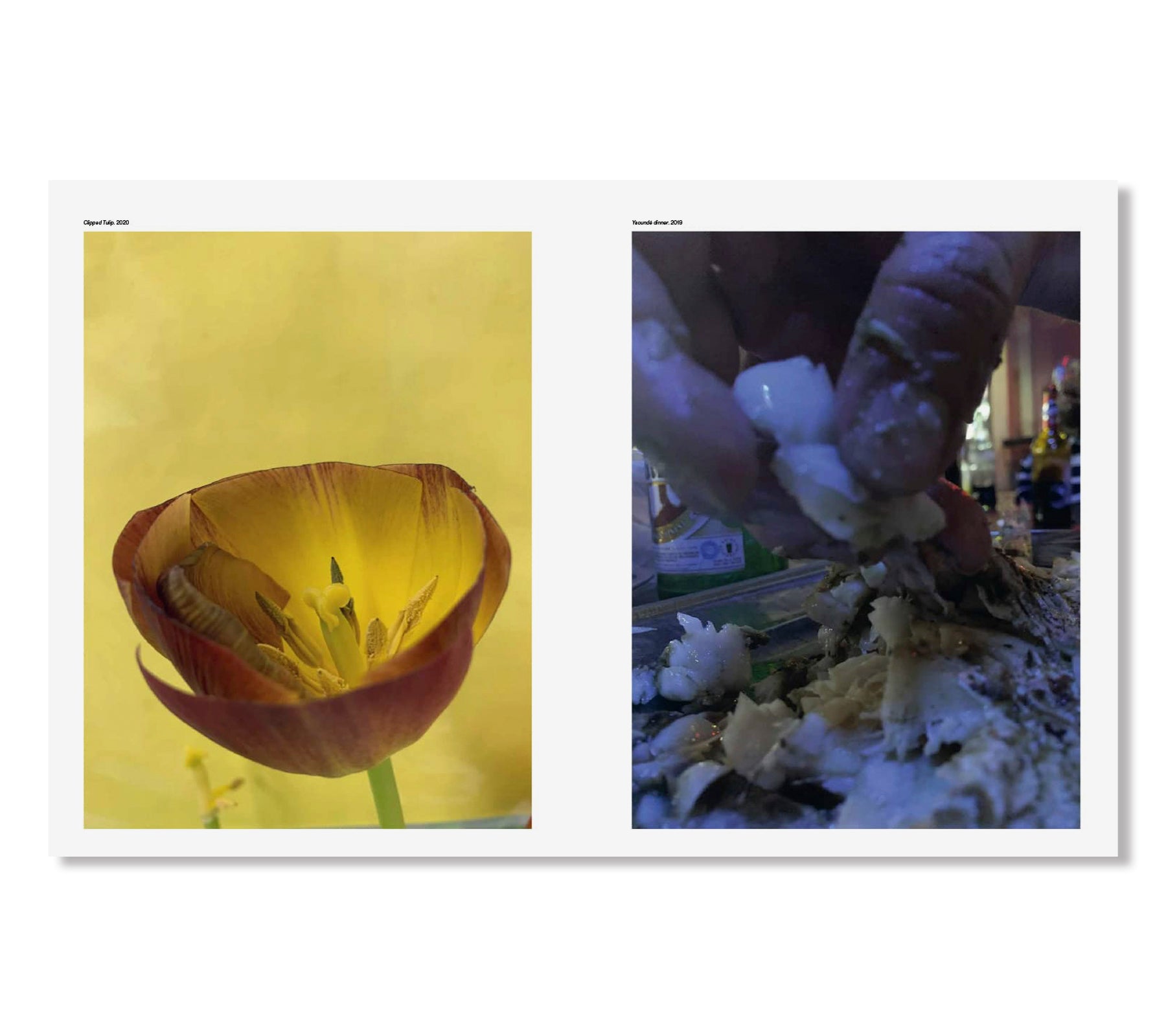 TO LOOK WITHOUT FEAR by Wolfgang Tillmans – twelvebooks