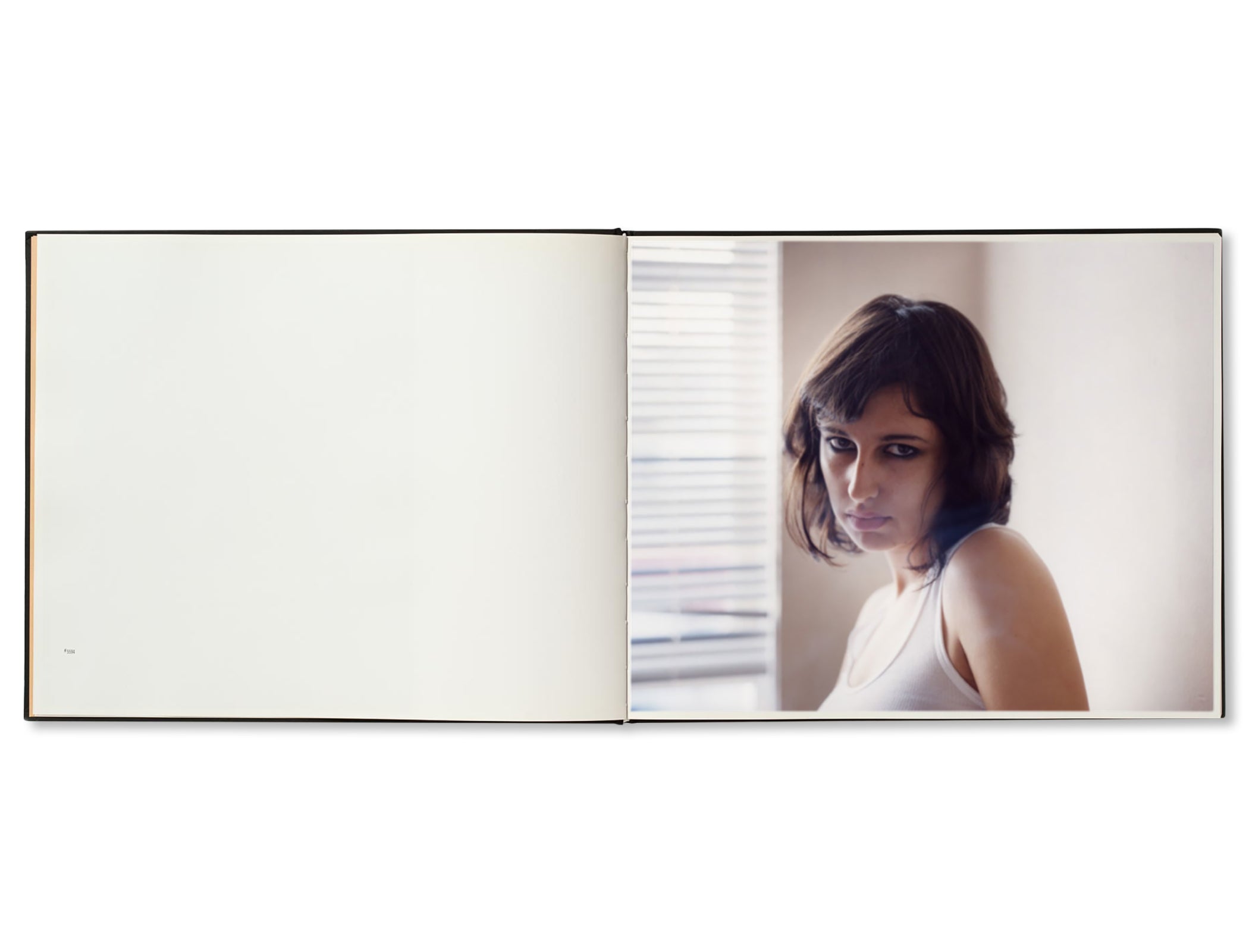BETWEEN THE TWO by Todd Hido [FIRST EDITION] – twelvebooks