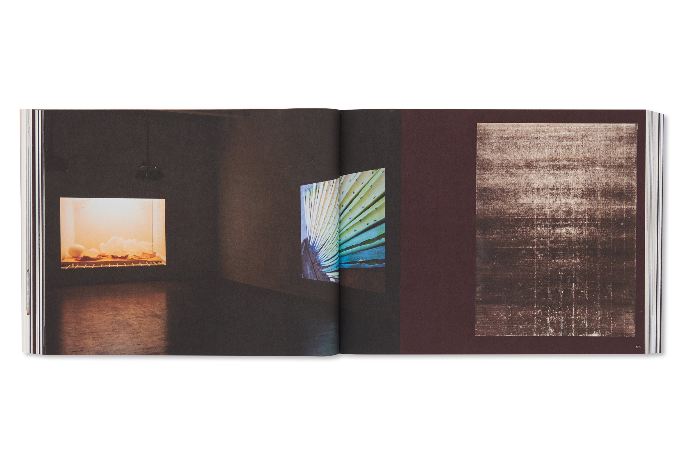 TODAY IS THE FIRST DAY by Wolfgang Tillmans – twelvebooks