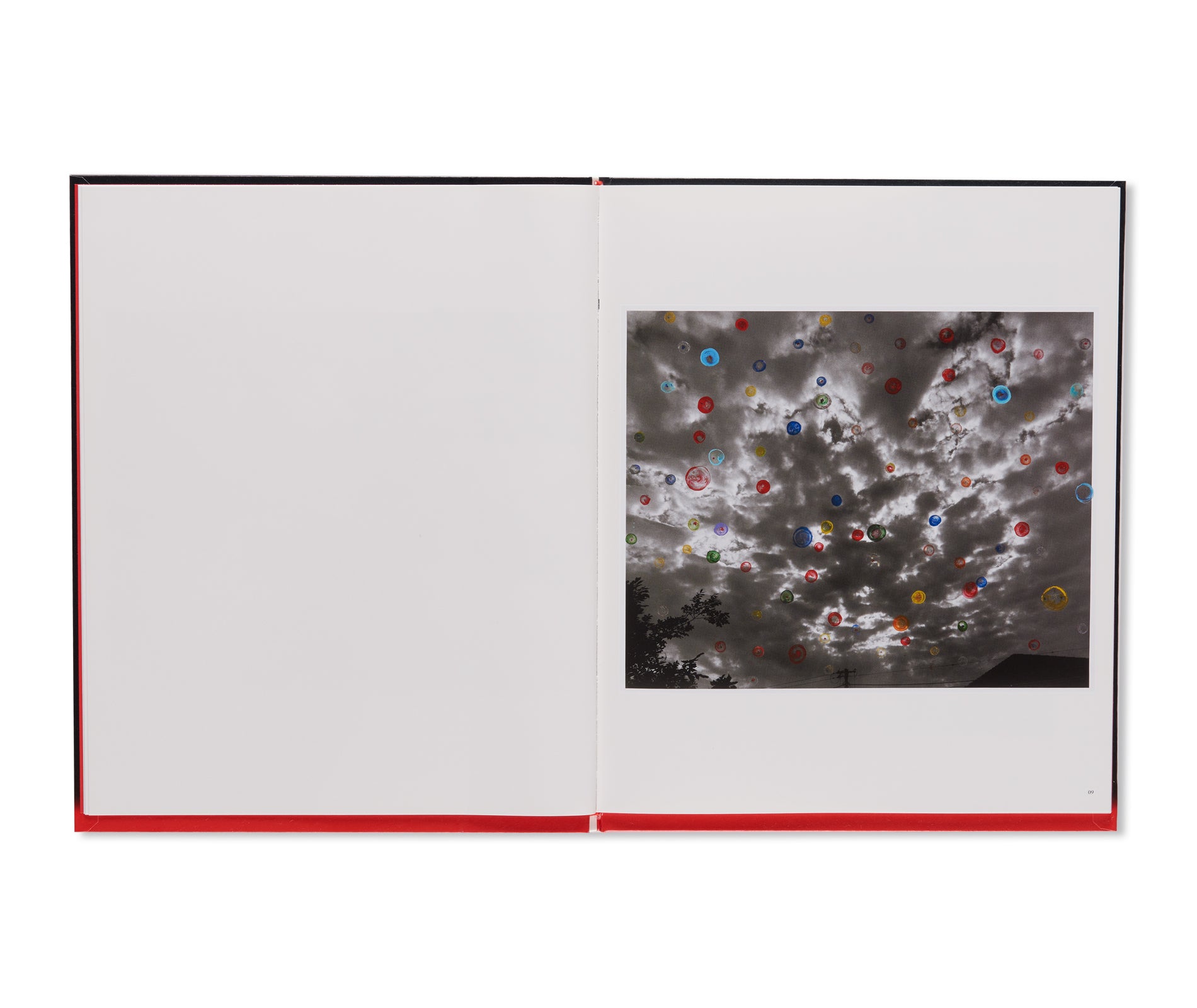 荒木経惟： Koshoku Painting】 大幅に値下げしました 荒木経惟