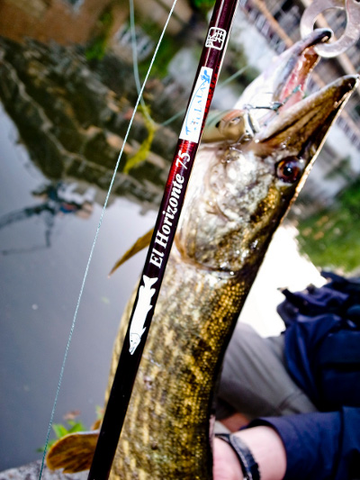 ツララ エルホリゾンテ75│TULALA Elhorizonte 75