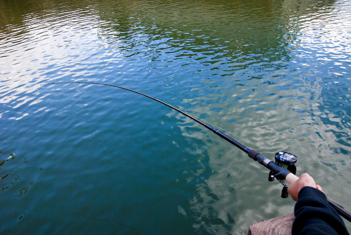 ツララ エルホリゾンテ83│TULALA El Horizonte 83