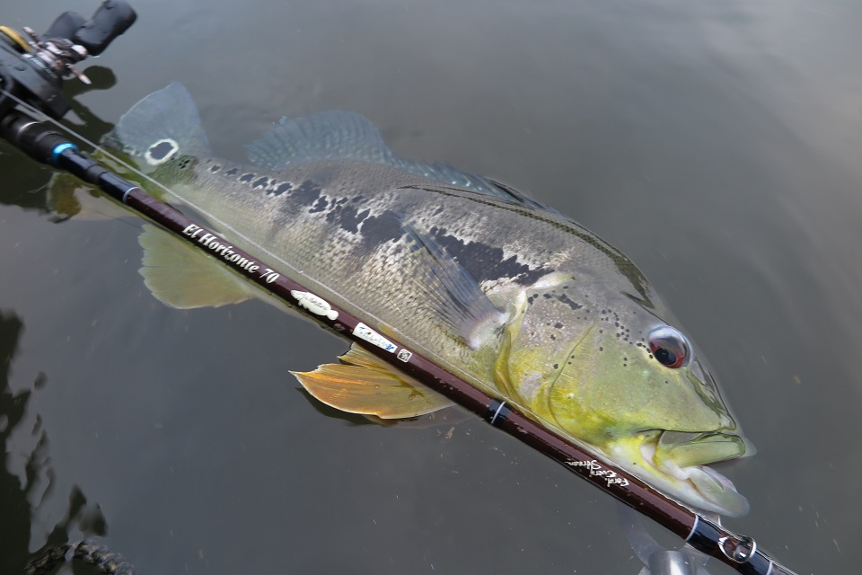 TULALA | Ford every stream | » 【STAFF】スーパーバーサタイルロッド