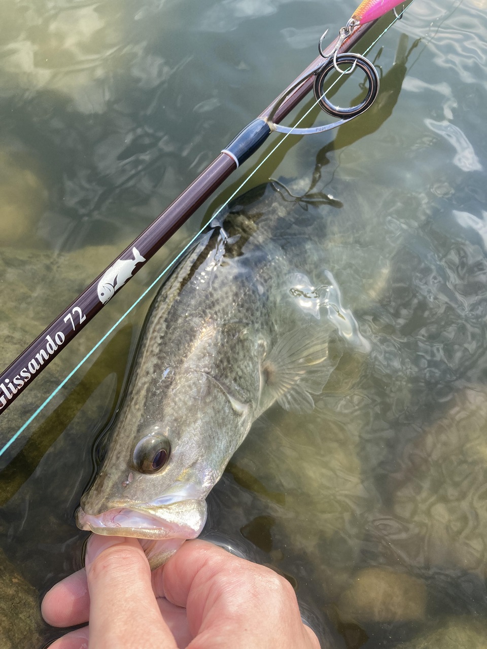 TULALA | Ford every stream | » 【STAFF】コローナ80と高知遠征！ by