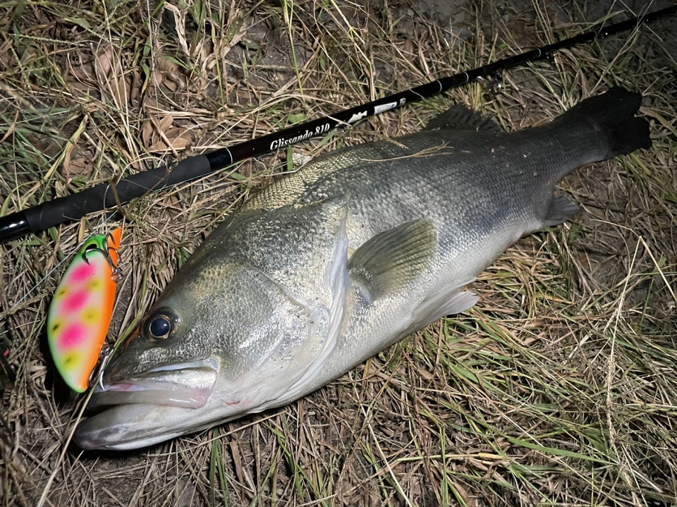 TULALA | Ford every stream | » 【公式】リッジライン×ツララ コラボ