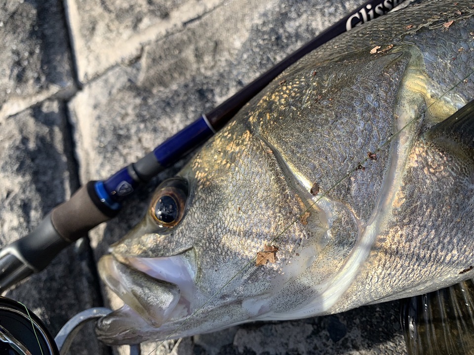 TULALA | Ford every stream | » 【STAFF】間もなく受注開始