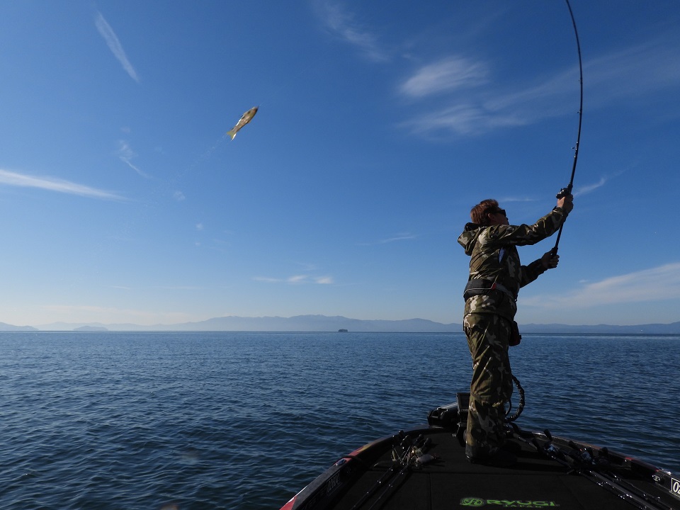 TULALA | Ford every stream | » Monstruo”W.Record”80XXXHC