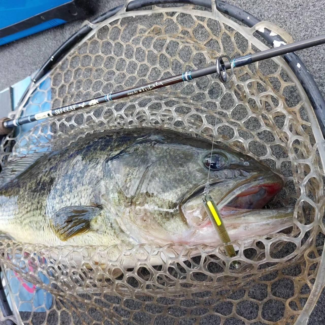 TULALA | Ford every stream | » BassAmp S63ULXF