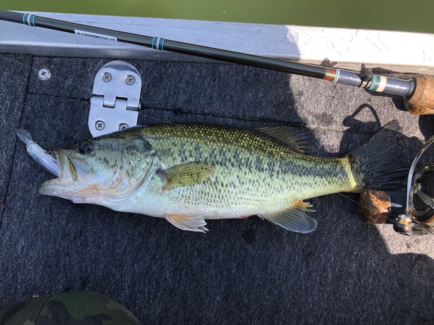 TULALA | Ford every stream | » BassAmp S63ULXF