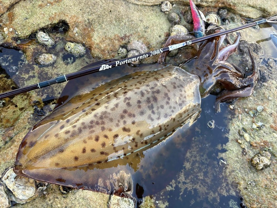 TULALA | Ford every stream | » News_Category » TULALA M.M.A