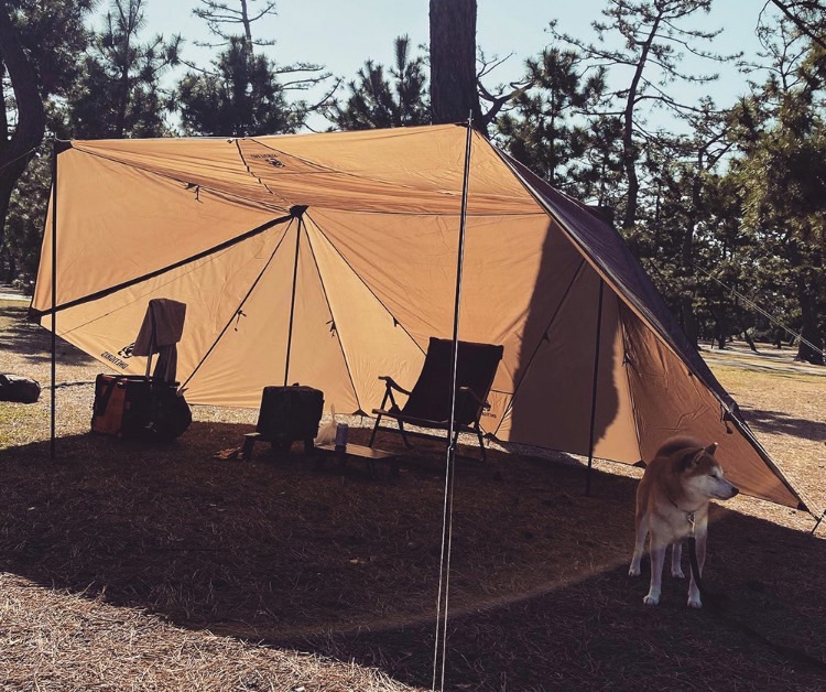 レビュー】OneTigrisのパップテント「ROC SHIELD TC」はソロ・デュオ