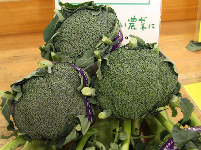 ブロッコリー | VEGESH TOKYO