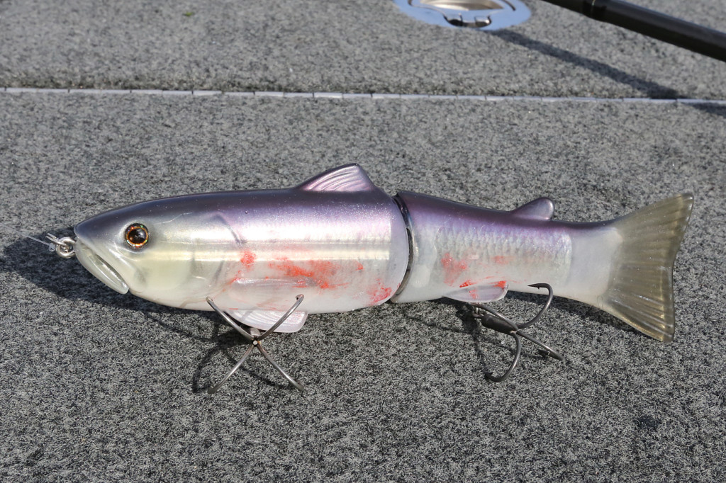 キムケンスタイルvol.14 「キムケンの浅場ビッグベイティング」 | 釣り