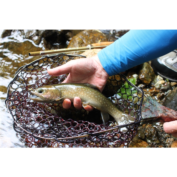 Jointer ジョインター MOUN-TEN 26 マウンテン26: フィッシング WILD-1