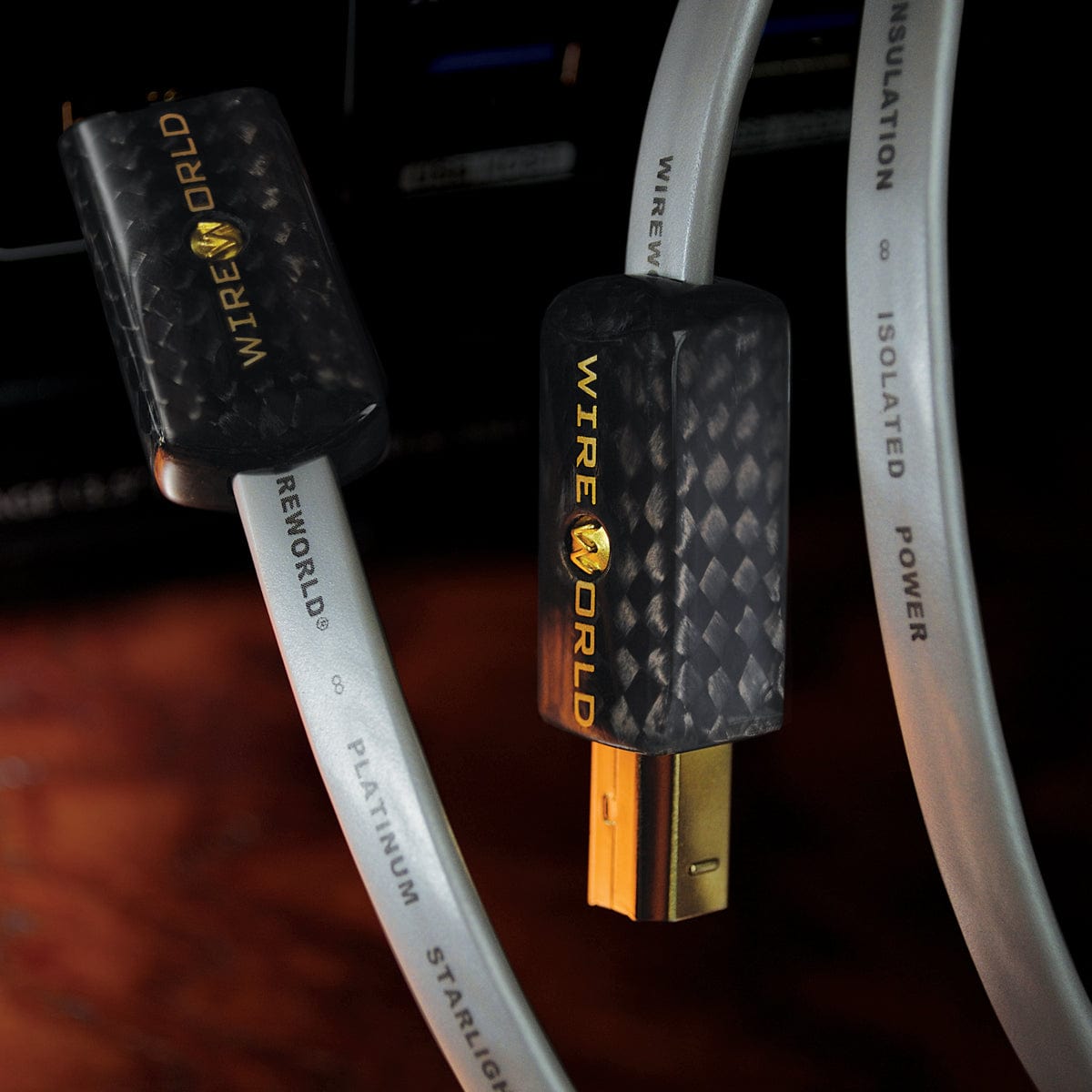 Wireworld Platinum Starlight 8 USB 2.0 Audio Cable