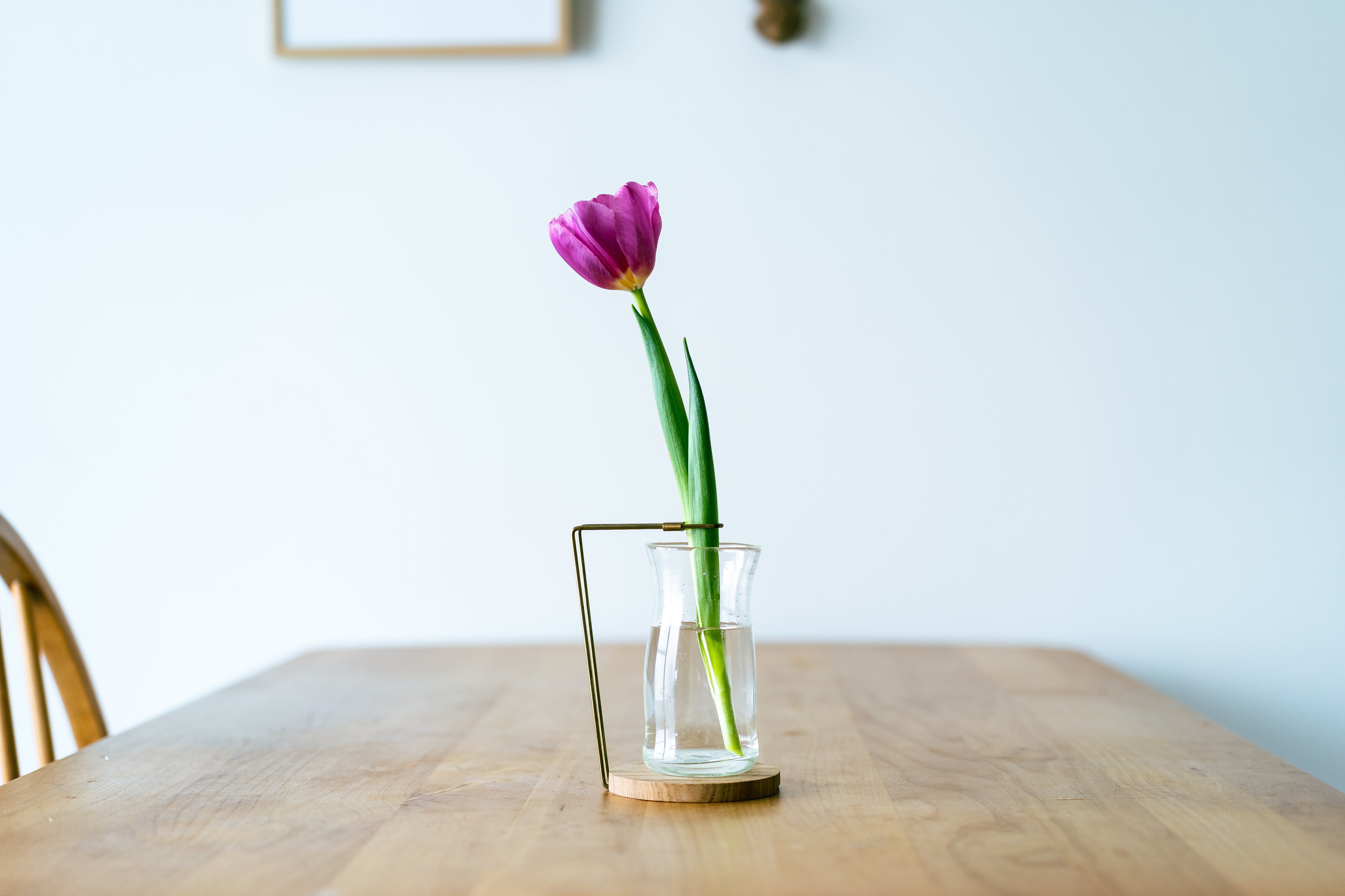 希少】VANESSA MITRANI フラワーベース Parade カッシーナ 希少