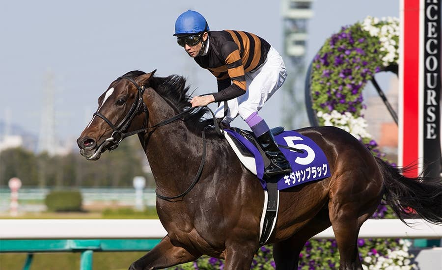 イクイノックス（Equinox） | 競馬データベース | JRA-VAN World