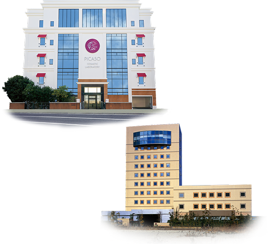 アクセス | ピカソ美化学研究所