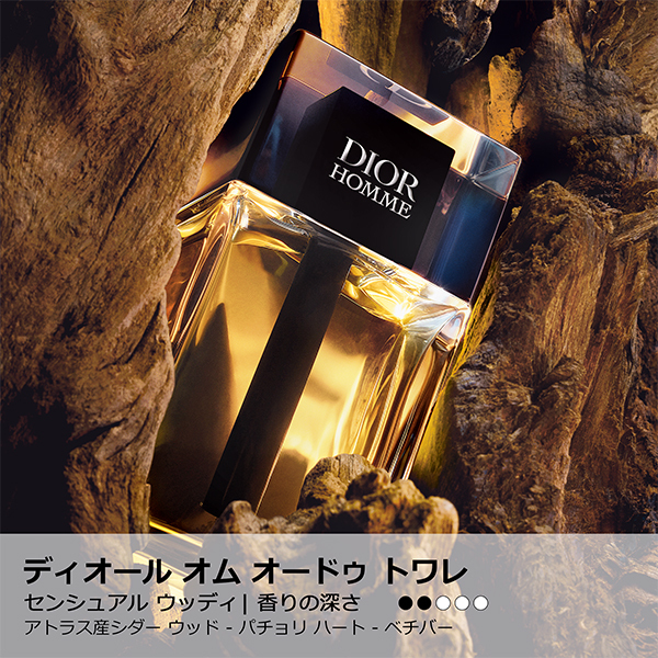 ディオール オム オードゥ トワレ / ディオール(香水, 香水・ヘア