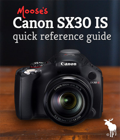 Canon SX30 IS Quick Guide: Tips & Resources for Beginners