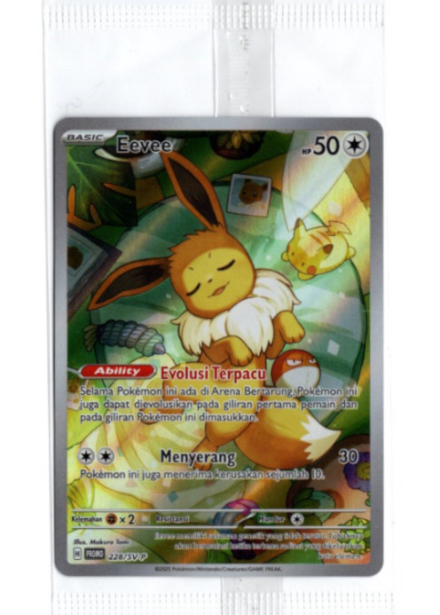 イーブイ AR インドネシア語版 プロモ 海外限定イラスト 未開封【Card